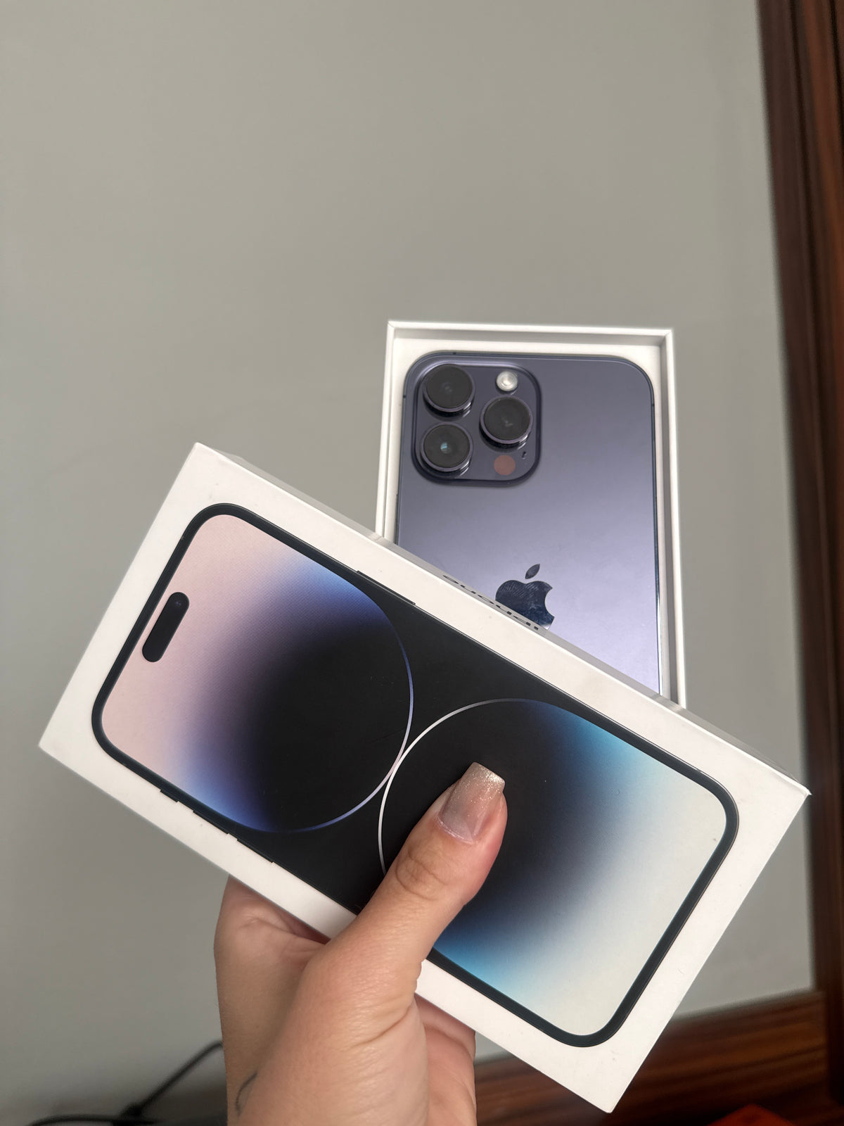 iPhone 14 Pro Max (Semi-novo)
